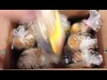 News video: Backpack Lunches