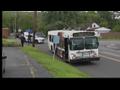 News video: Woman hit by LANTA bus