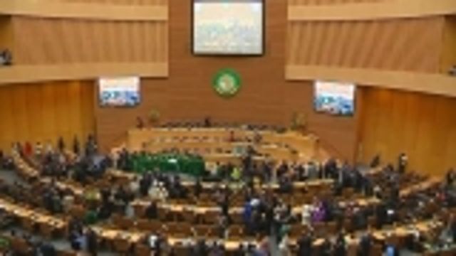 News video: China praised at African Union summit